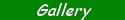 gallery.gif (1250 bytes)