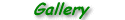 galleryheader.gif (1573 bytes)