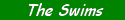 swims.gif (1346 bytes)