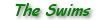 swimsheader.gif (1683 bytes)